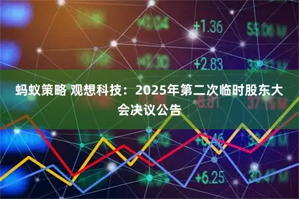 蚂蚁策略 观想科技：2025年第二次临时股东大会决议公告