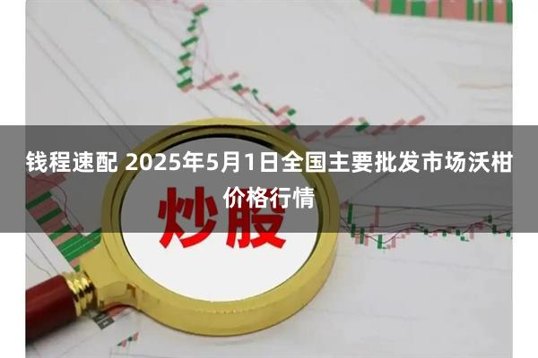 钱程速配 2025年5月1日全国主要批发市场沃柑价格行情