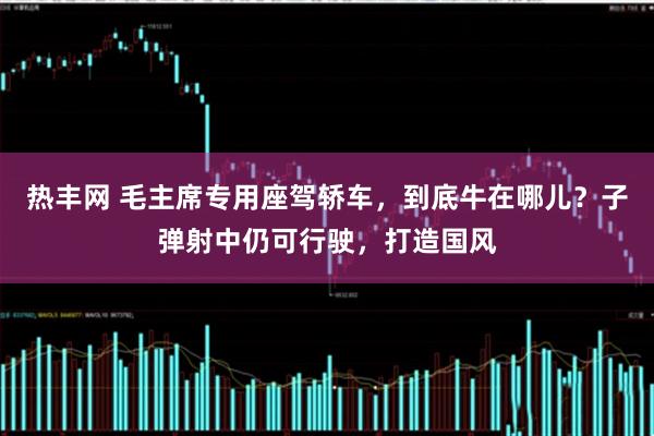 热丰网 毛主席专用座驾轿车，到底牛在哪儿？子弹射中仍可行驶，打造国风