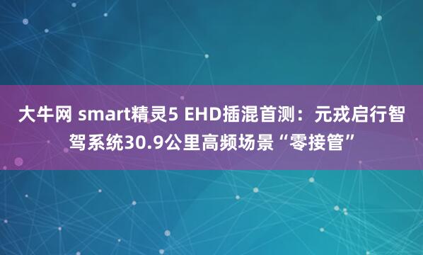 大牛网 smart精灵5 EHD插混首测：元戎启行智驾系统30.9公里高频场景“零接管”
