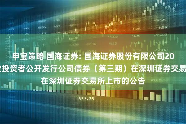 申宝策略 国海证券: 国海证券股份有限公司2025年面向专业投资者公开发行公司债券（第三期）在深圳证券交易所上市的公告