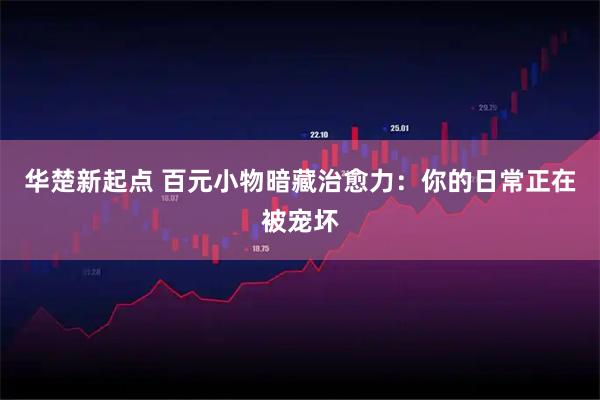 华楚新起点 百元小物暗藏治愈力：你的日常正在被宠坏