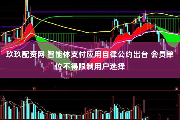 玖玖配资网 智能体支付应用自律公约出台 会员单位不得限制用户选择