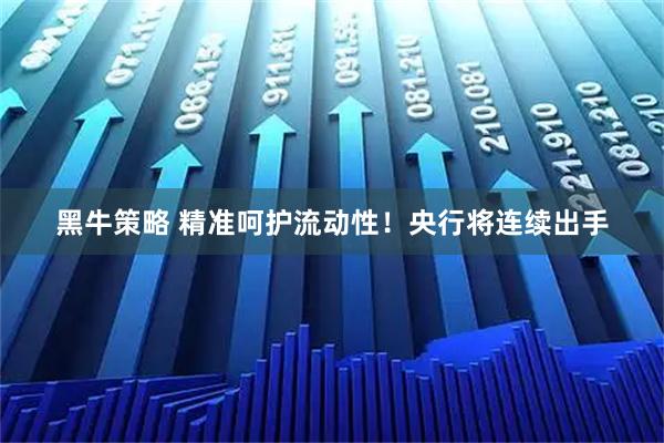 黑牛策略 精准呵护流动性！央行将连续出手